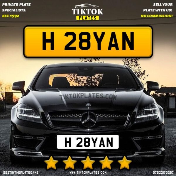 H 28YAN - Image 3